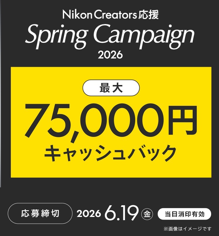ニコン ミラーレス＆レンズ購入で高額キャッシュバック実施中です